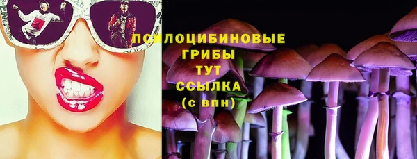 гидропоника Бронницы