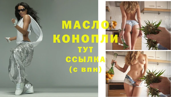 хмурый Туринск