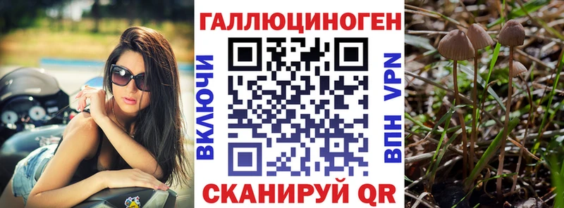 это клад  Козьмодемьянск  Псилоцибиновые грибы мицелий 